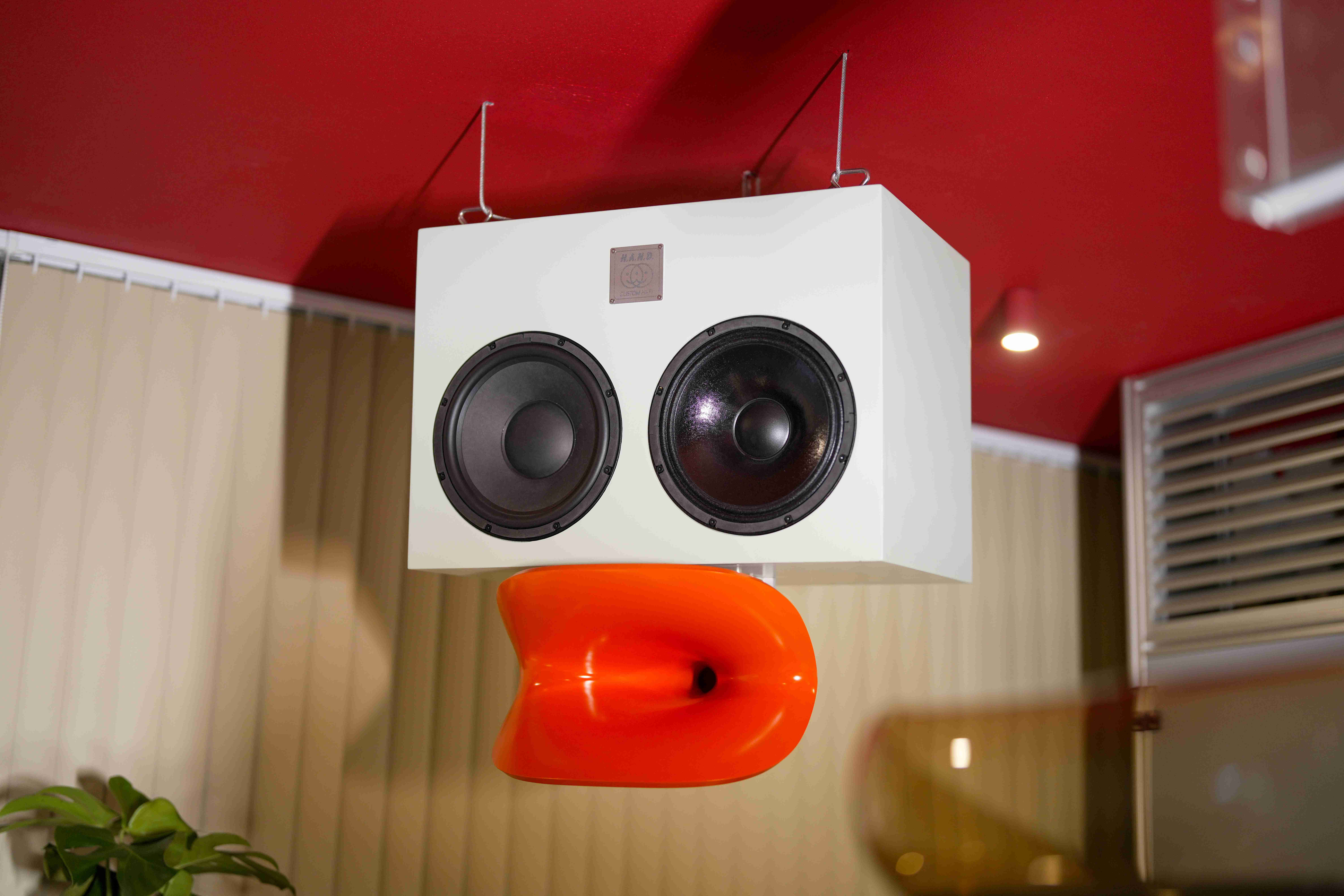 Orbita