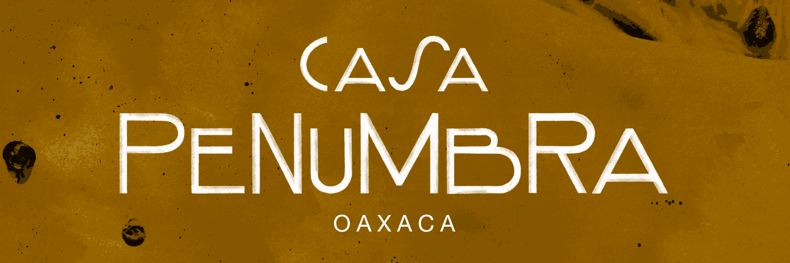 Casa Penumbra