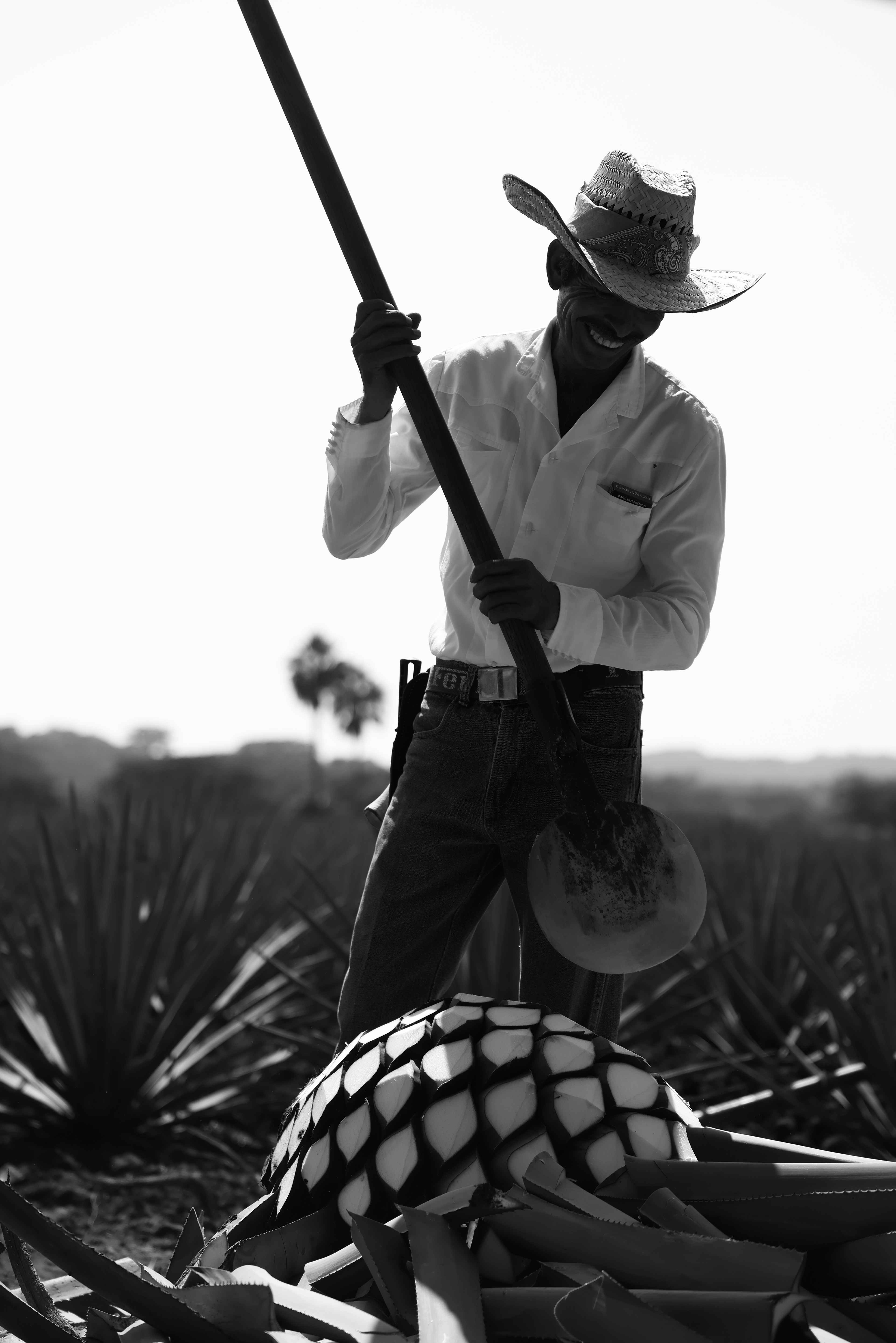 Reserva de la Familia