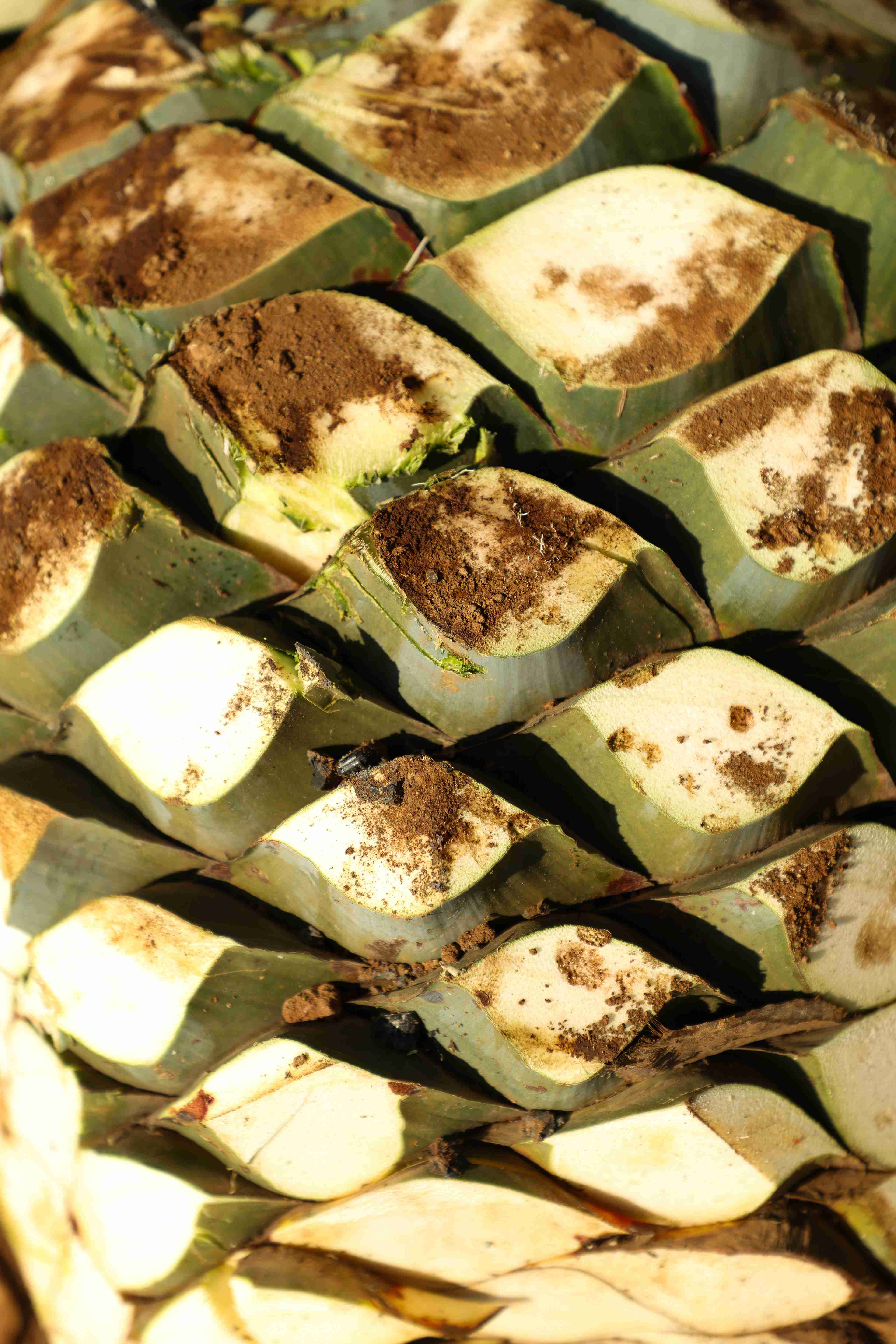 Reserva de la Familia