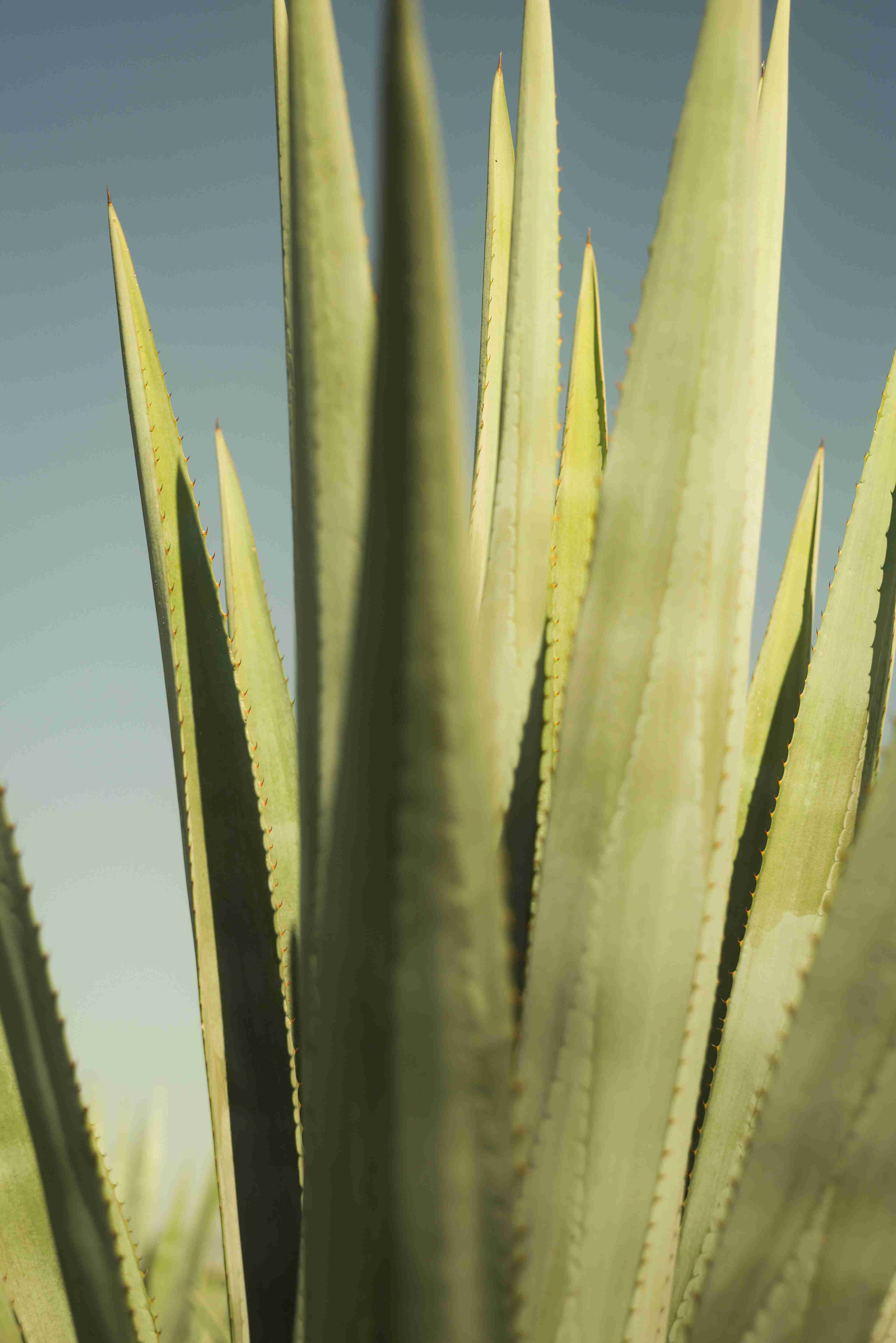 Reserva de la Familia